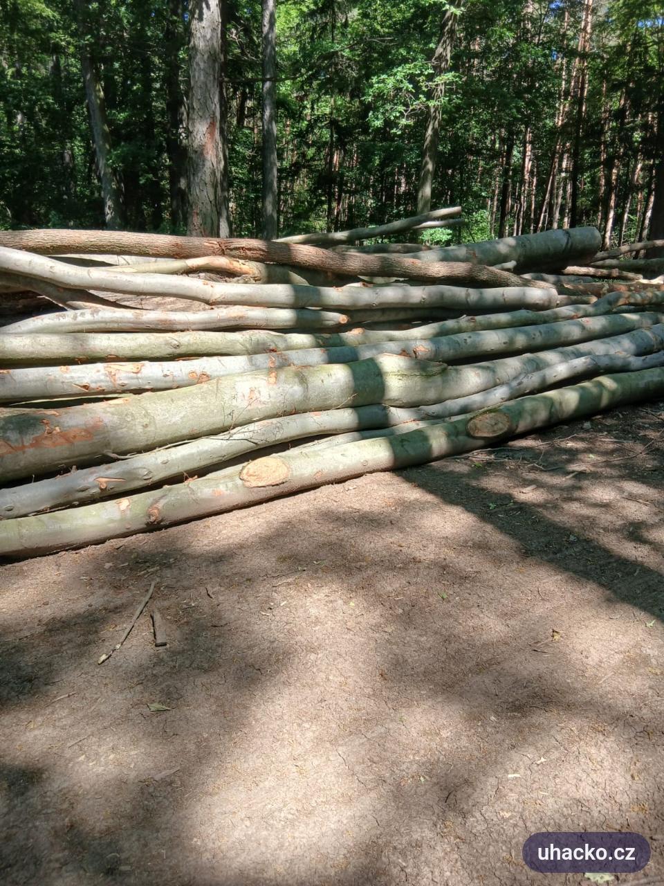 Palivové dříví tvrdé